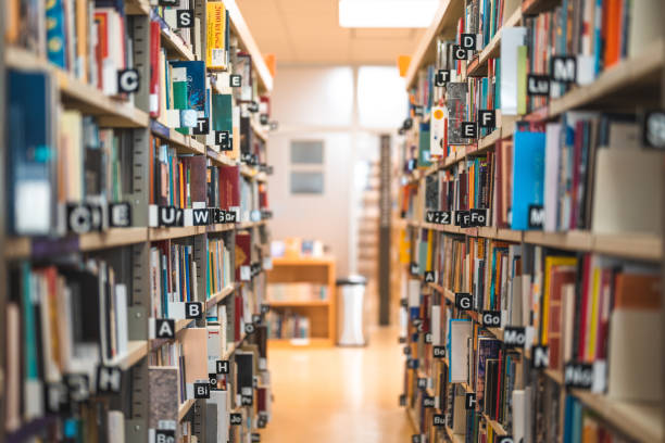 Library Image 3